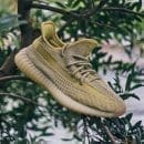 Yeezy Boost 350 V2 Antlia (No reflectante)