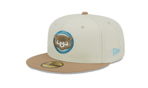 City Icon Chicago Cubs