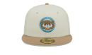 City Icon Chicago Cubs