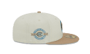 City Icon Chicago Cubs