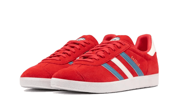 Gazelle Chile - immagine 2