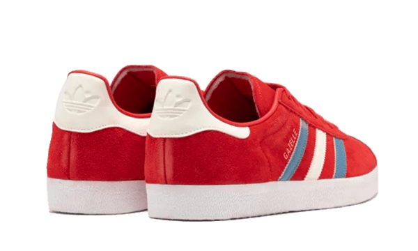Gazelle Chile - immagine 3