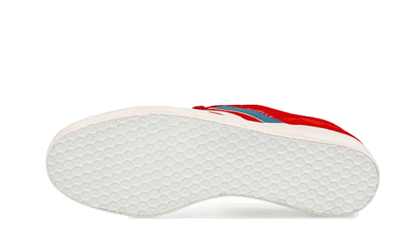 Gazelle Chile - immagine 4