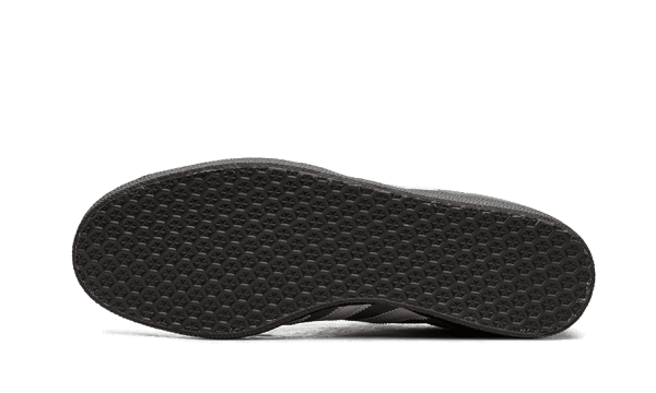 Gazelle Mexico - immagine 4