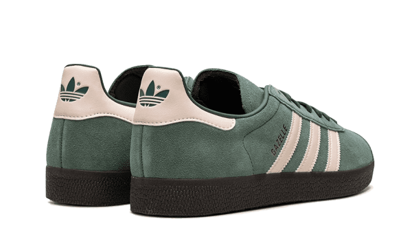 Gazelle Mexico - immagine 3