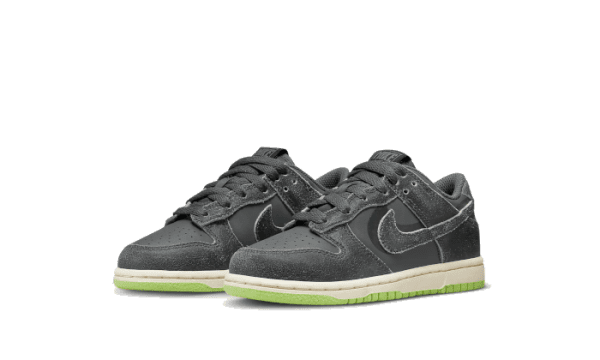 Dunk Low Swoosh Shadow Iron Grey Enfant (PS) - Image 2