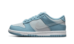 Dunk Low Clear Swoosh
