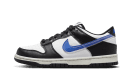 Dunk Low Next Nature Swoosh in TPU
