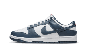Dunk Low Valerian Blue