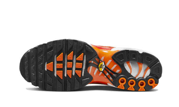 Air Max Plus Light Photography - immagine 3