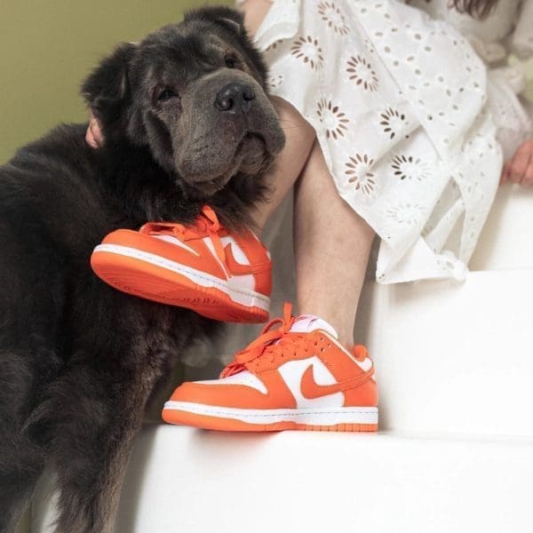 Dunk Low SP Orange Blaze (Syracuse) – Image 5