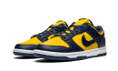 Dunk Low Michigan
