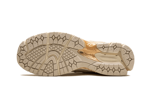 2002R Protection Pack Sandstone Turtledove – Bild 4