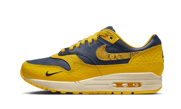 Air Max 1 CO.JP Michigan