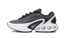 Air Max DN Black White Cool Grey 