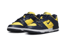 Dunk Low Disrupt 2 Michigan