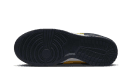 Dunk Low Disrupt 2 Michigan