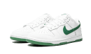 Dunk Rumore verde basso