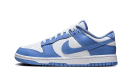 Dunk Low Blu Polare