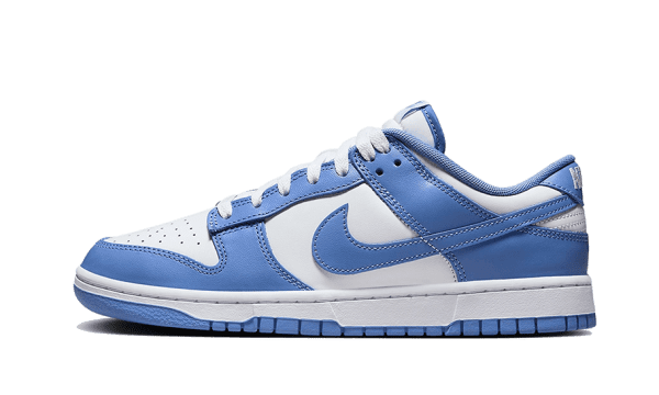 Dunk Low Blu Polare