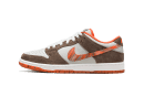 SB Dunk Low Crushed D.C.