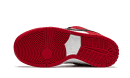 SB Dunk Low Pro Chicago