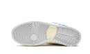 SB Dunk Low Pro QS Fly Streetwear