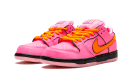 SB Dunk Low Las Chicas Superpoderosas Blossom