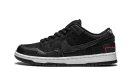 SB Dunk Low Wasted Youth