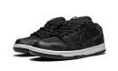 SB Dunk Low Wasted Youth