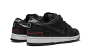 SB Dunk Low Wasted Youth
