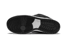 SB Dunk Low Wasted Youth
