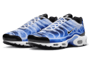 Air Max Plus Light Photography Old Royal