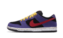 SB Dunk Low ACG Terra