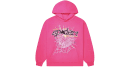 Pink Punk V2 Hoodie