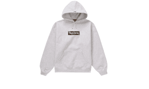 Felpa con cappuccio Box Logo (FW23) Grigio cenere