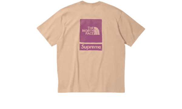 The North Face T-Shirt The North Face Beige (SS24) - immagine 2