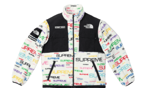 The North Face Steep Tech Fleece Jacket Blanc