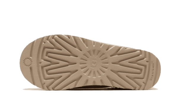 Tasman Slipper Mustard Seed - Image 4