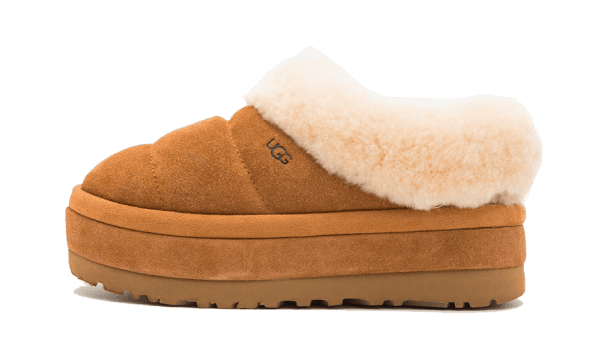 Tazzlita Chestnut (Enfant)