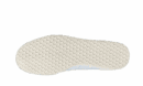 Gacela Argentina