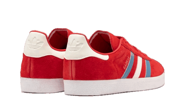 Gazelle Chile - Image 3