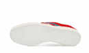Gazelle Chile