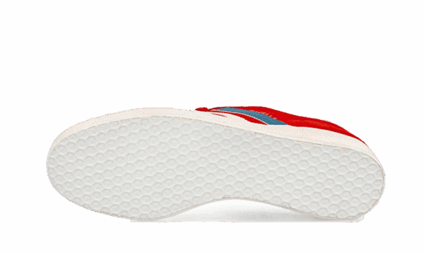 Gazelle Chile - Image 4