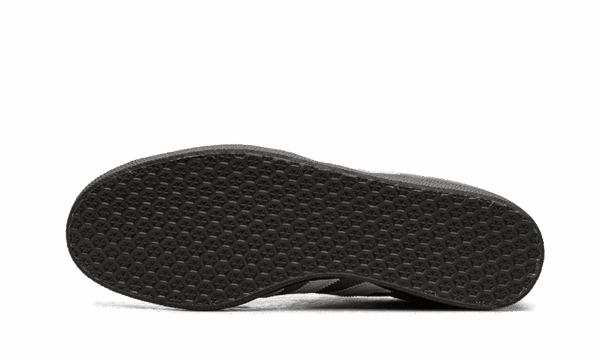 Gazelle Mexico - immagine 2