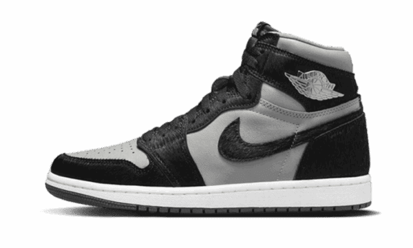 Air Jordan 1 Retro High OG Twist 2.0