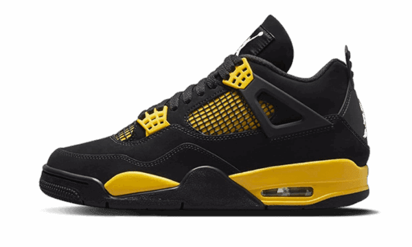 Air Jordan 4 Tuono a posteriori (2023)