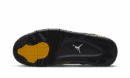 Air Jordan 4 Tuono a posteriori (2023)