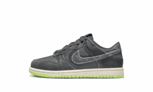 Dunk Low Swoosh Schatten Eisen Grau Enfant (PS)