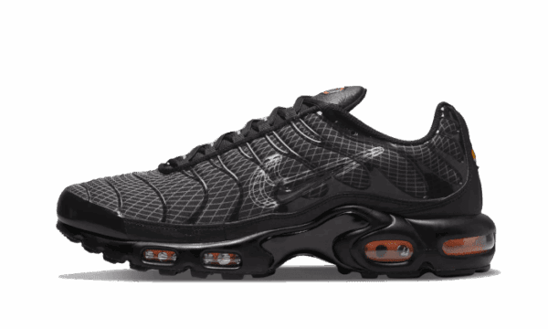 Air Max Plus 3D Swoosh Negro